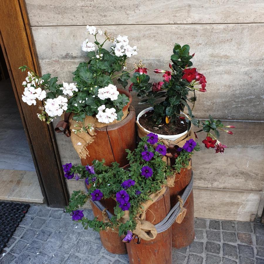 Appartamento Casa Tiziano e Nila Santo Stefano Di Cadore Esterno foto