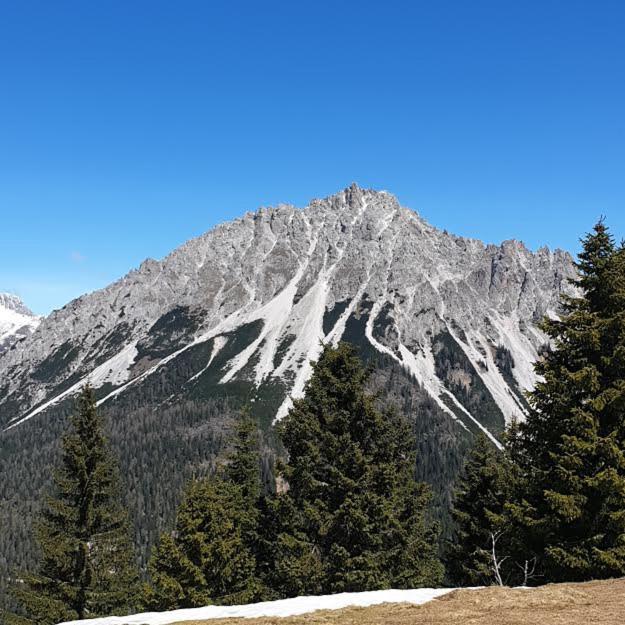 Appartamento Casa Tiziano e Nila Santo Stefano Di Cadore Esterno foto