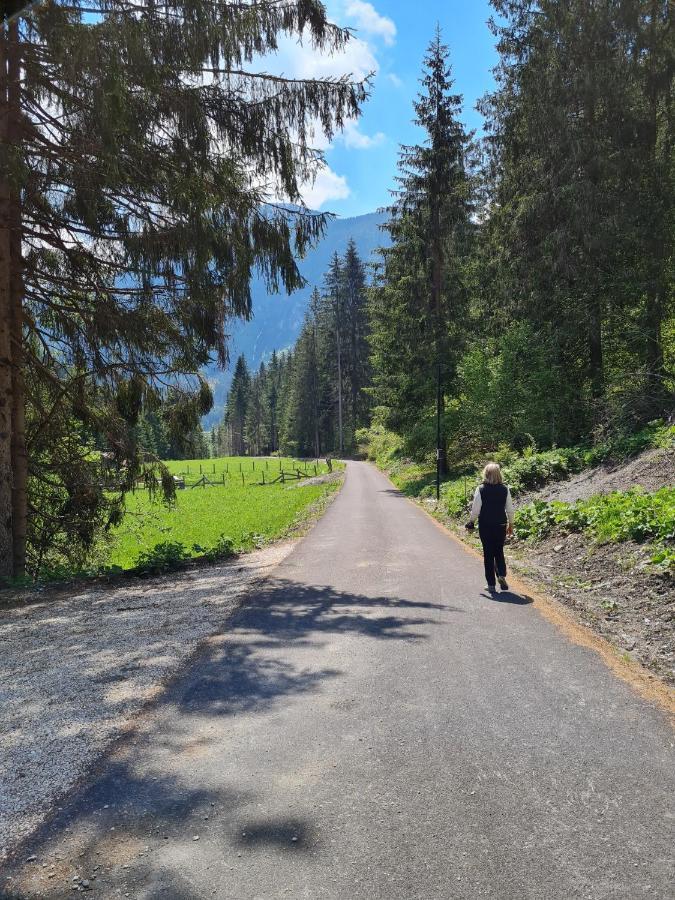 Appartamento Casa Tiziano e Nila Santo Stefano Di Cadore Esterno foto