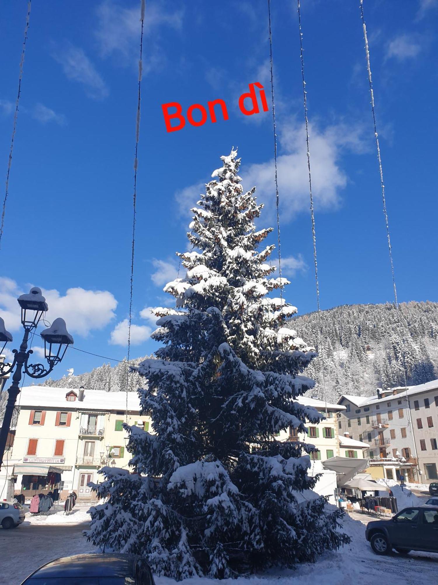 Appartamento Casa Tiziano e Nila Santo Stefano Di Cadore Esterno foto