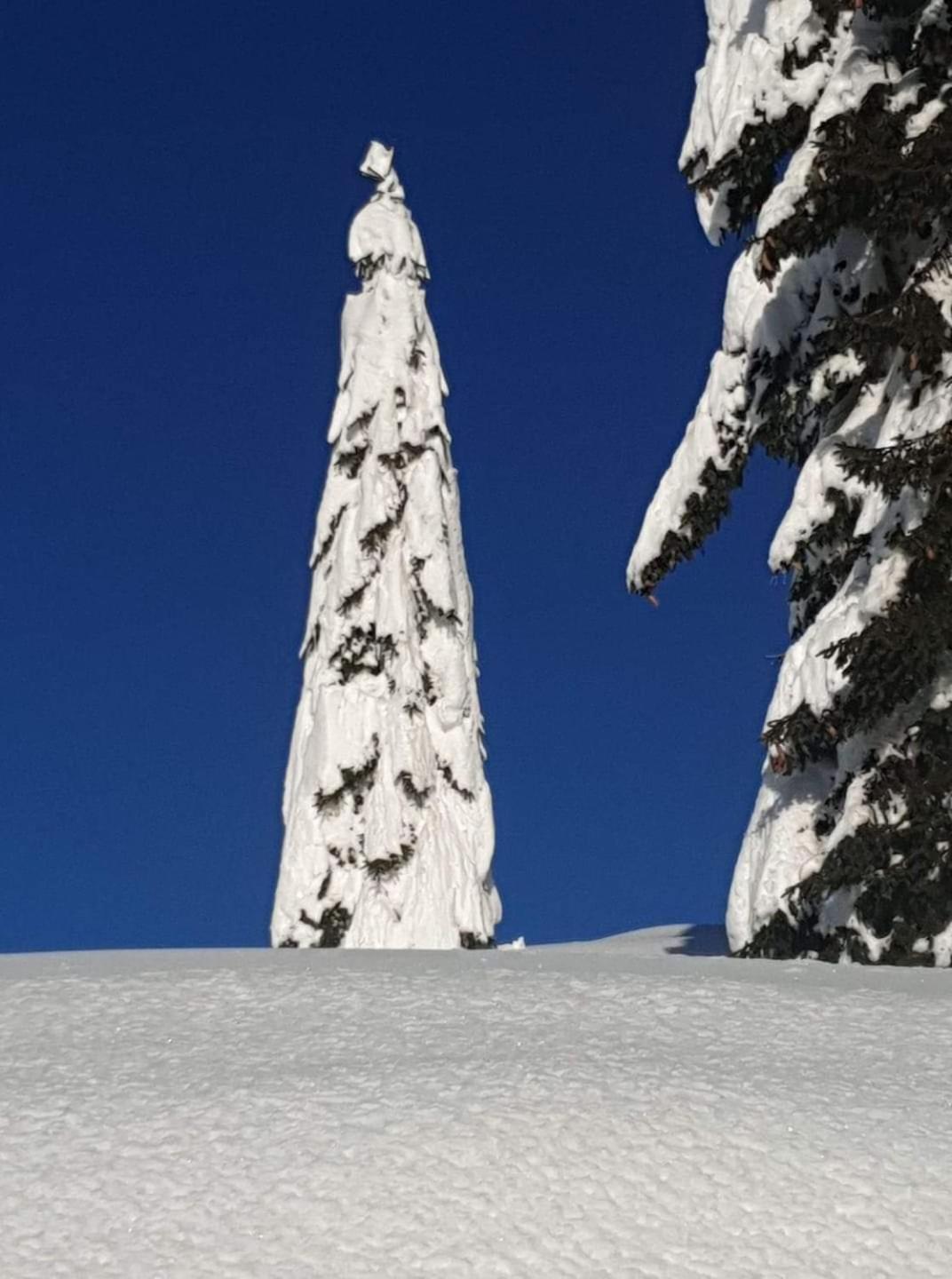 Appartamento Casa Tiziano e Nila Santo Stefano Di Cadore Esterno foto